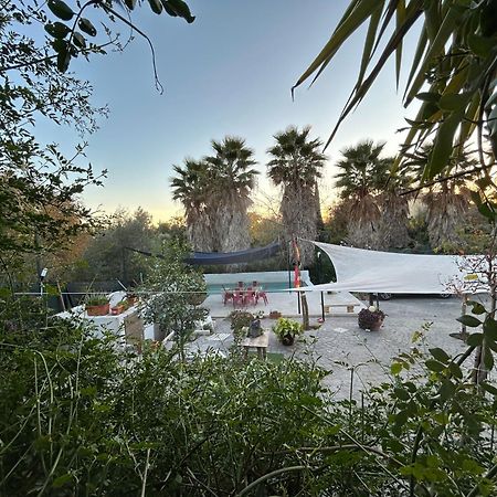 Loft Independiente "La Casita Del Olivo Centenario" Kordoba Bagian luar foto