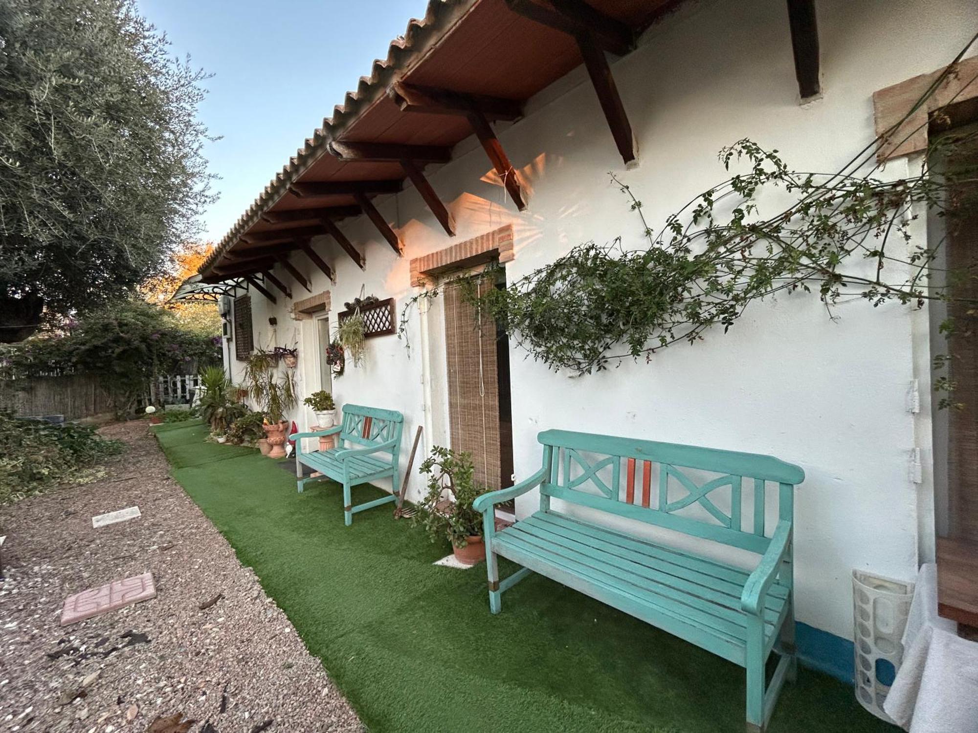 Loft Independiente "La Casita Del Olivo Centenario" Kordoba Bagian luar foto